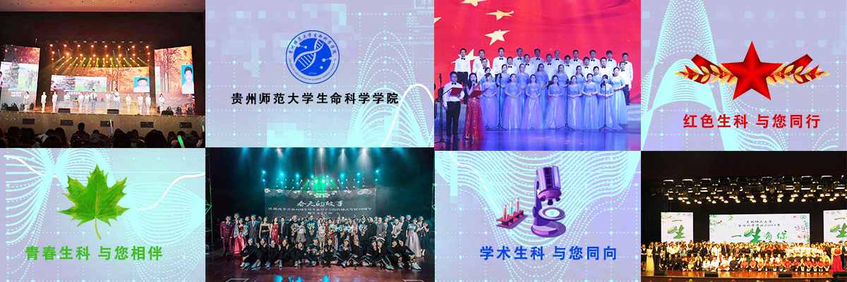 bwin必赢欢迎您